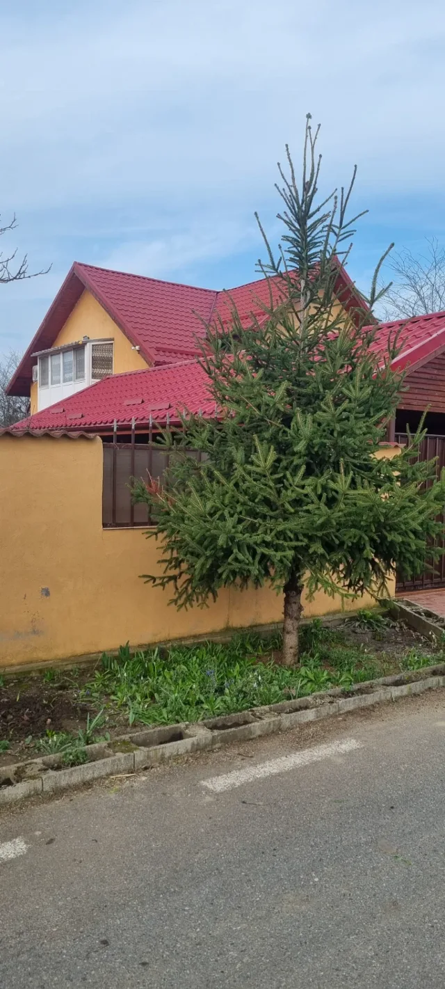 Casa de vinzare – fotografia 7 din 8