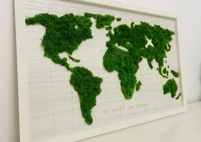 Harta lumii decorata cu licheni naturali – fotografia 3 din 3