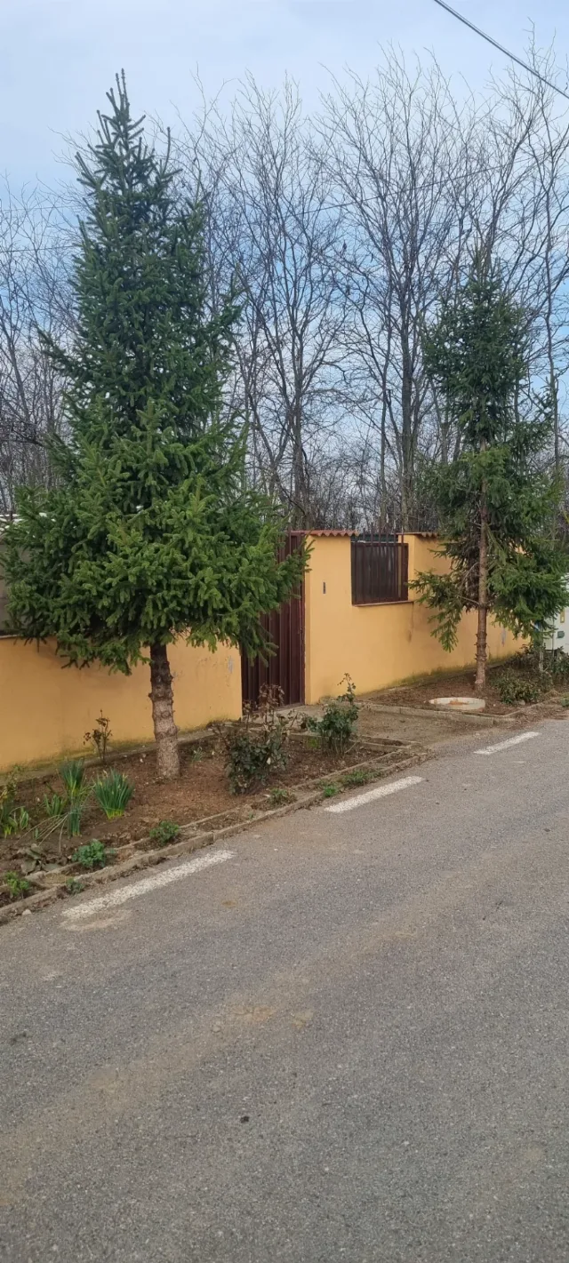 Casa de vinzare – fotografia 8 din 8