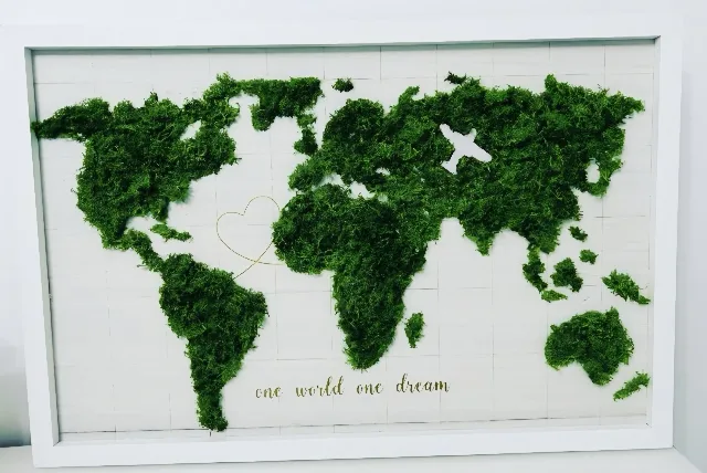 Harta lumii decorata cu licheni naturali – fotografia 2 din 3