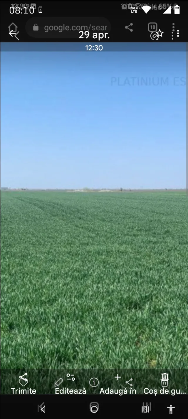 Vând 30 ha teren arabil. – Galati, Galați