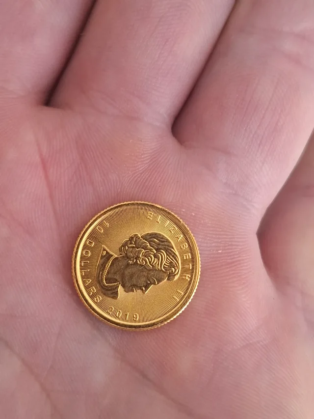 Moneda 24k 8gr – fotografia 1 din 6