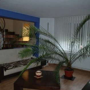Vand sau schimb vila p+1-+mansaeda locuibila in Rosu,Chiajna – fotografia 3 din 8