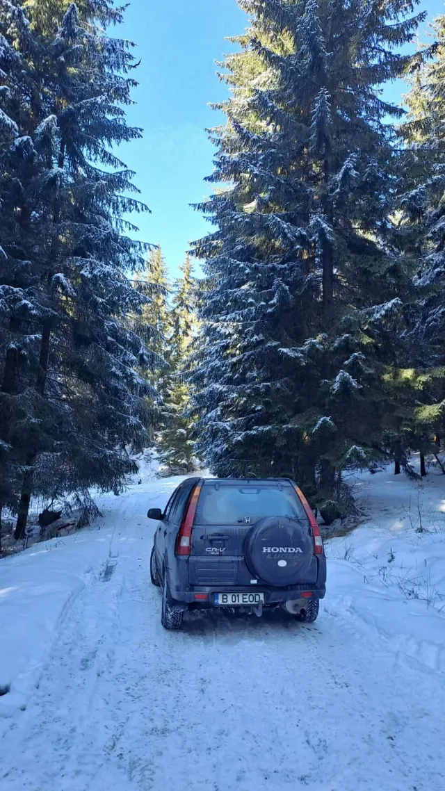 Honda CR-V – fotografia 5 din 7