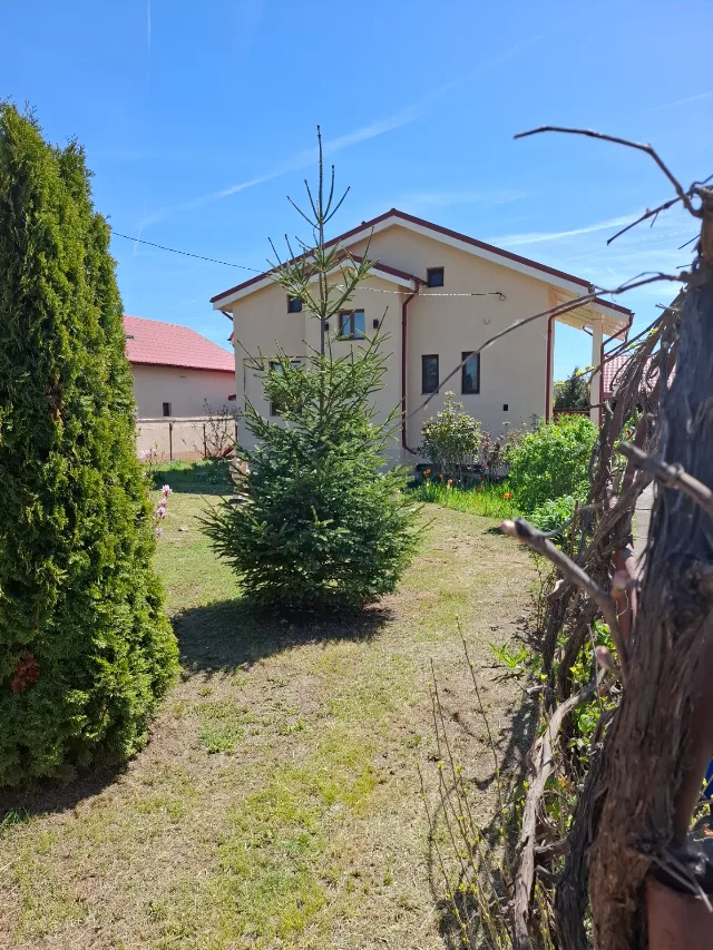 Vindem vila d.p.m – fotografia 8 din 8