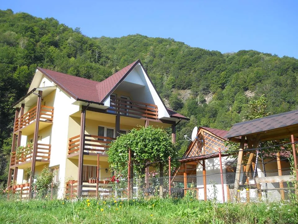 Casa tip vila de vanzare – Malaia, Vâlcea