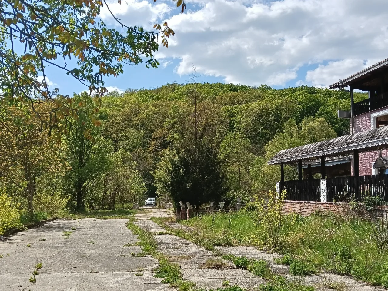 Motel in apropiere de Dunare – fotografia 3 din 8