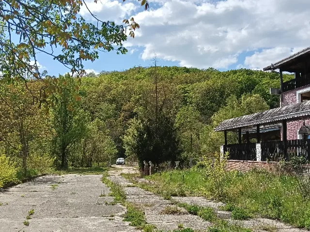 Motel in apropiere de Dunare – fotografia 3 din 8