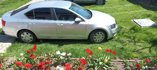 Skoda Octavia 3 – Berivoi, Brașov