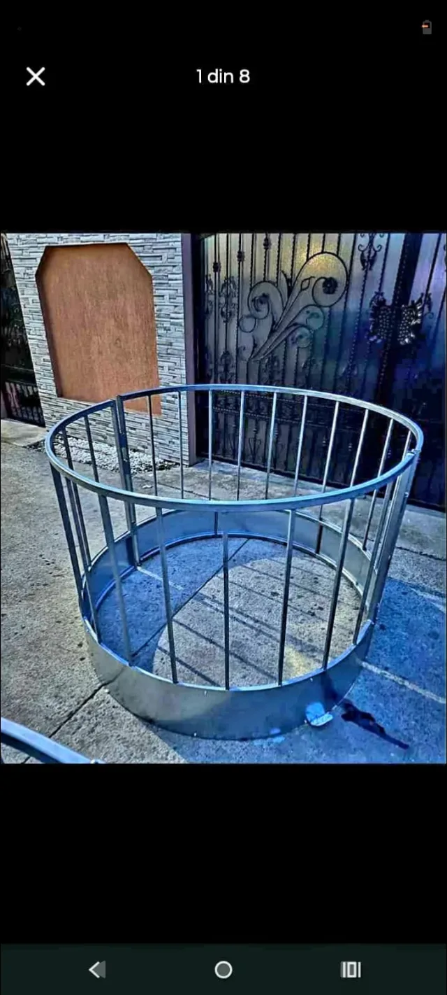 Iesle oi și vaci – fotografia 4 din 6