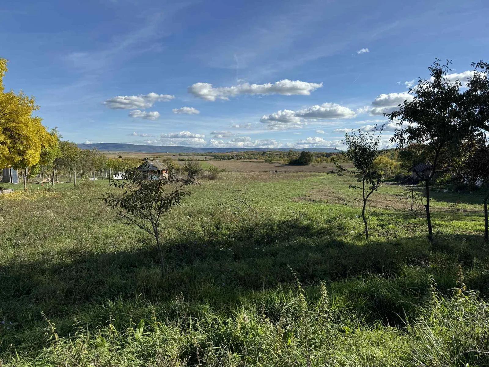 Teren intravilan Viile Satu Mare – Viile Satu Mare, Satu Mare