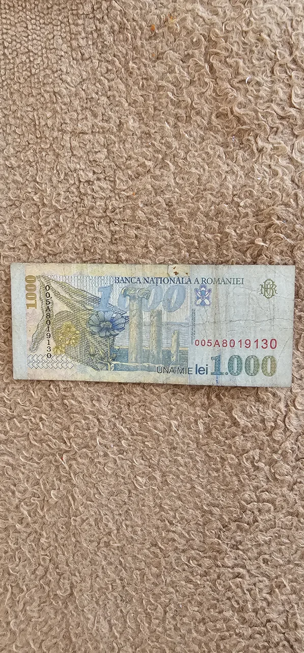 Bancnota 1ooo lei din anul 1998 – fotografia 2 din 2