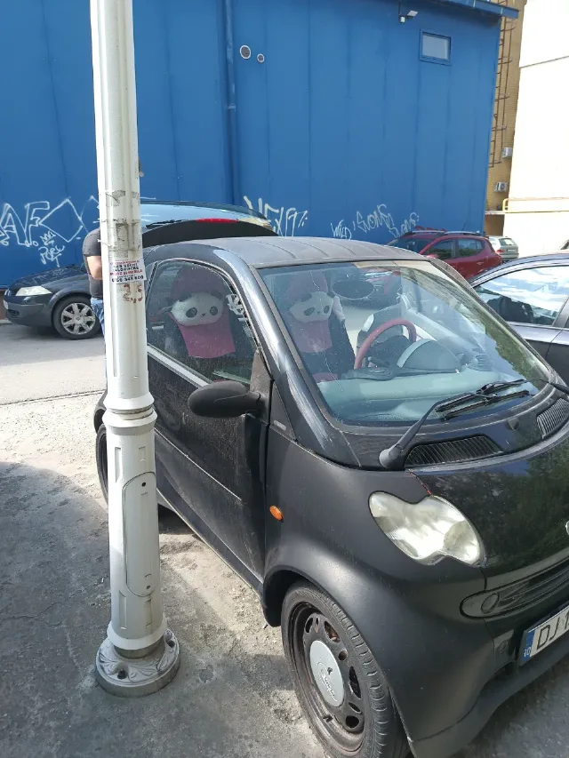 smart acte in regula – fotografia 6 din 7