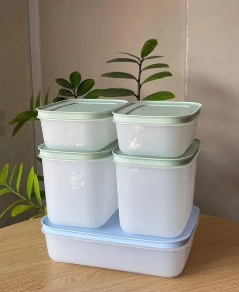 Set Recipiente congelator Tupperware – fotografia 1 din 3