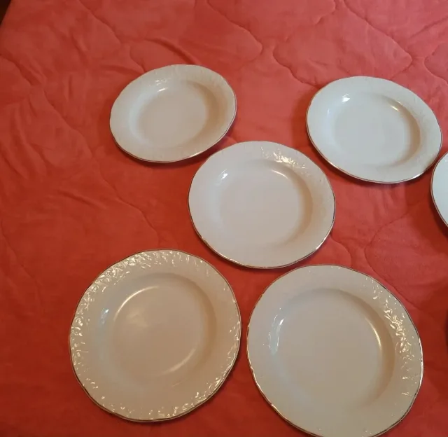 Set 9 farfurii porțelan vintage WellcoKrefeldGermania (1994)–Ca noi – fotografia 5 din 7
