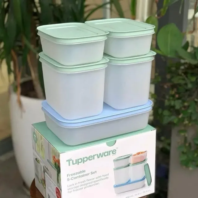 Set Recipiente congelator Tupperware – fotografia 2 din 3