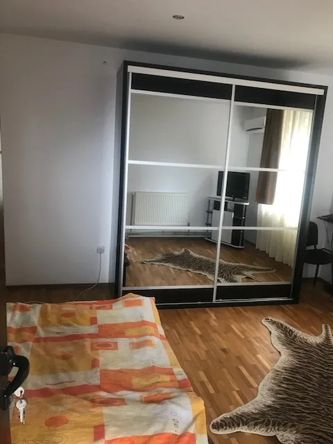 Vila p+1 si 1100 mp teren – fotografia 8 din 8