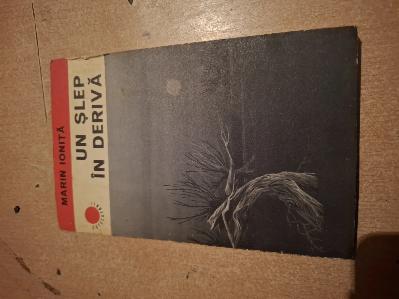 marin ionita-un slep in deriva – fotografia 1 din 2