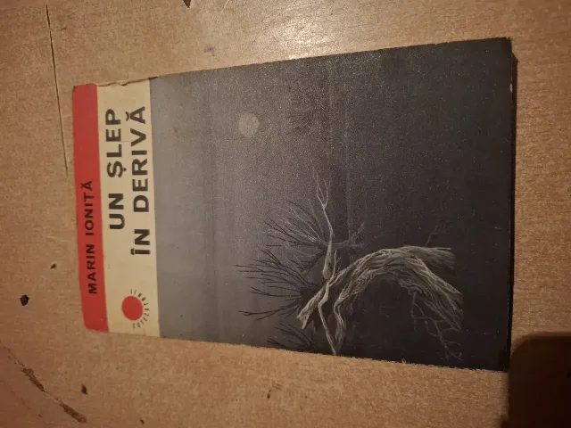 marin ionita-un slep in deriva – Craiova, Dolj