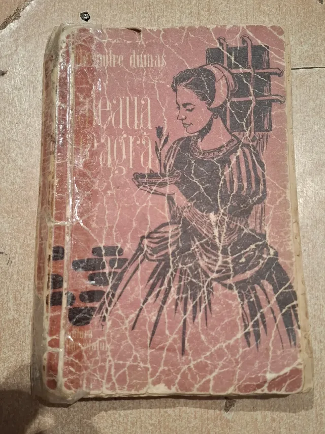 al.dumas-laleaua neagra – Craiova, Dolj