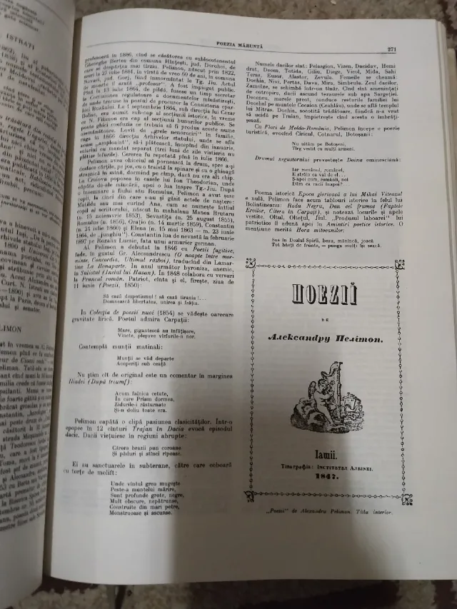 istoria literaturii române de la origini până în prezent – fotografia 4 din 5