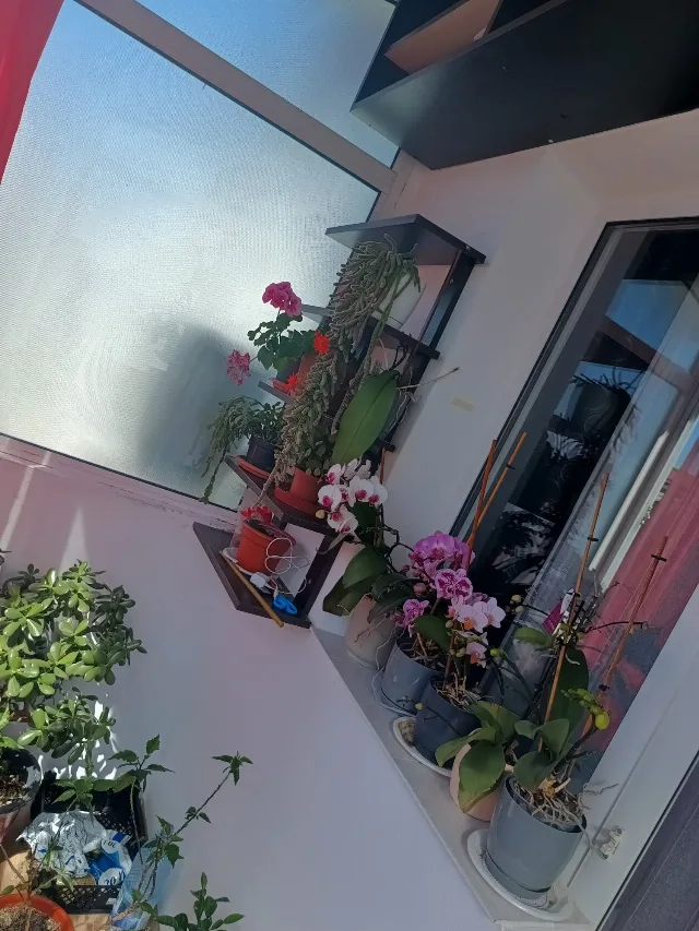 Apartament cu 3 camere – fotografia 6 din 8