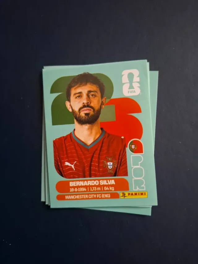 sticker bernardo silva – Craiova, Dolj