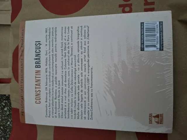 dan silviu boerescu-constantin brancusi zborul patimas spre infinit al printesei x – fotografia 2 din 2
