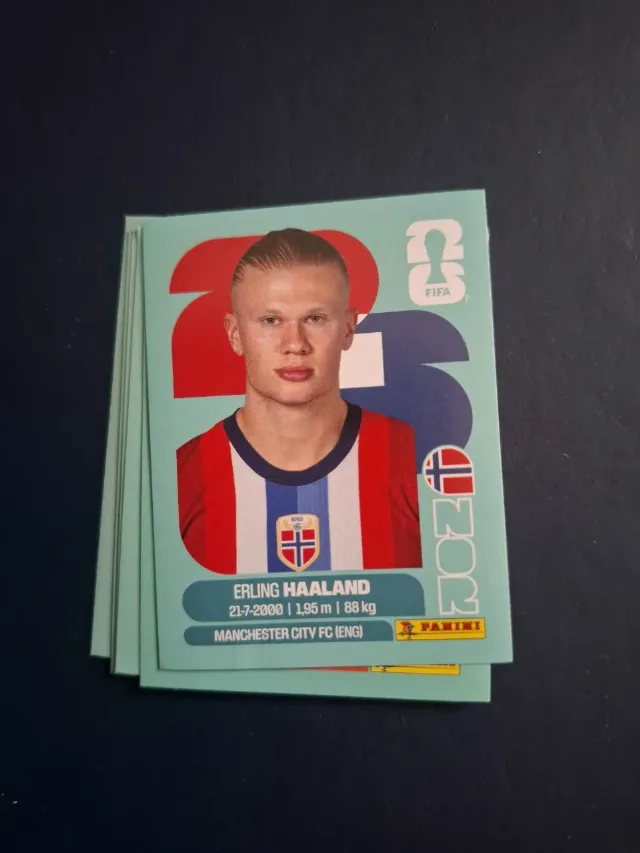 sticker erling haaland – Craiova, Dolj