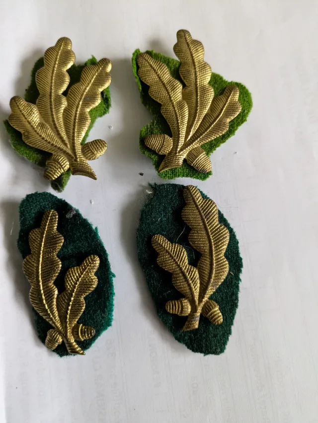 Insemne militare ,insigna +petlite – fotografia 2 din 2