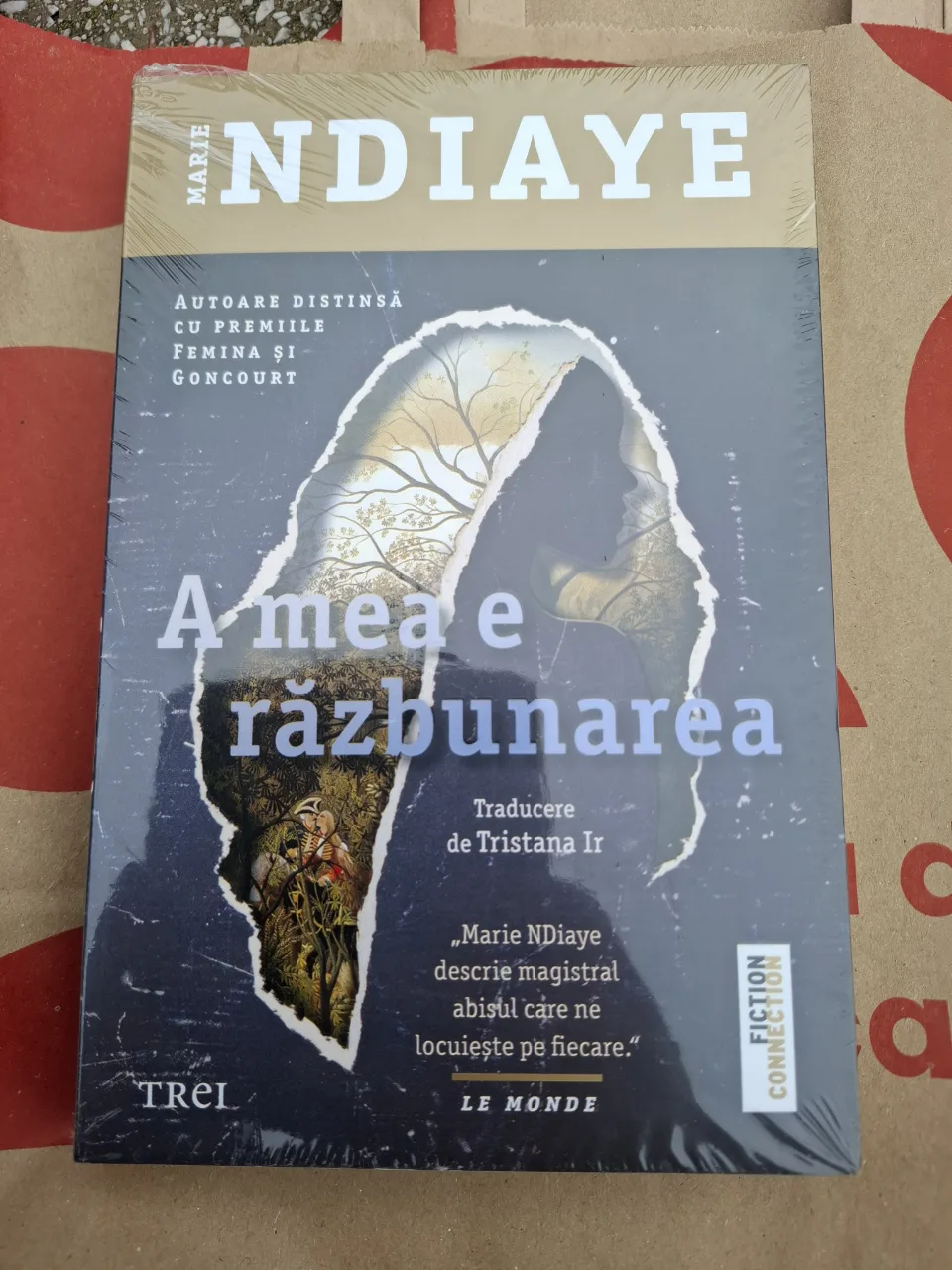 marie ndiaye-a mea e razbunare – fotografia 1 din 2