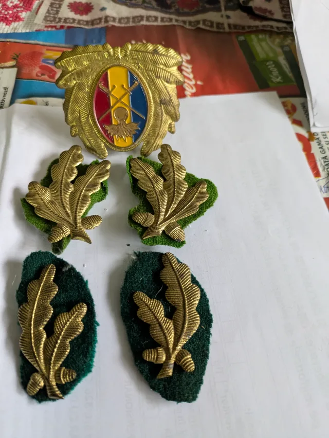 Insemne militare ,insigna +petlite – fotografia 1 din 2