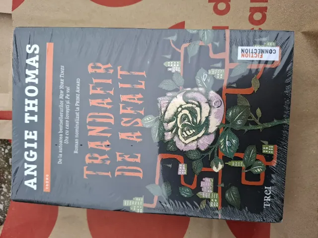 angie thomas-trandafir de asfalt – Craiova, Dolj