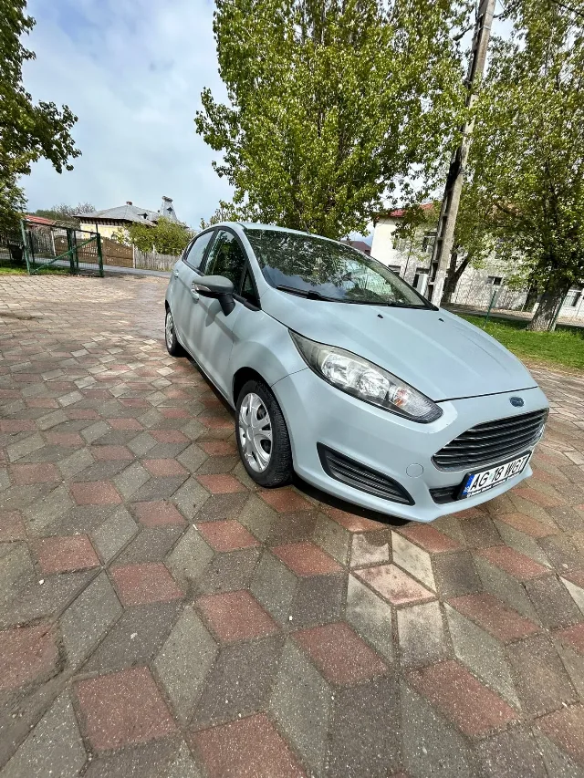Ford Fiesta 1.5 TDCI – Priboieni, Argeș