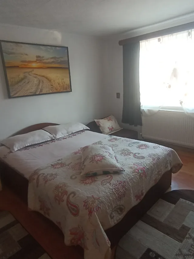 Cazare Casa Linistita – fotografia 8 din 8