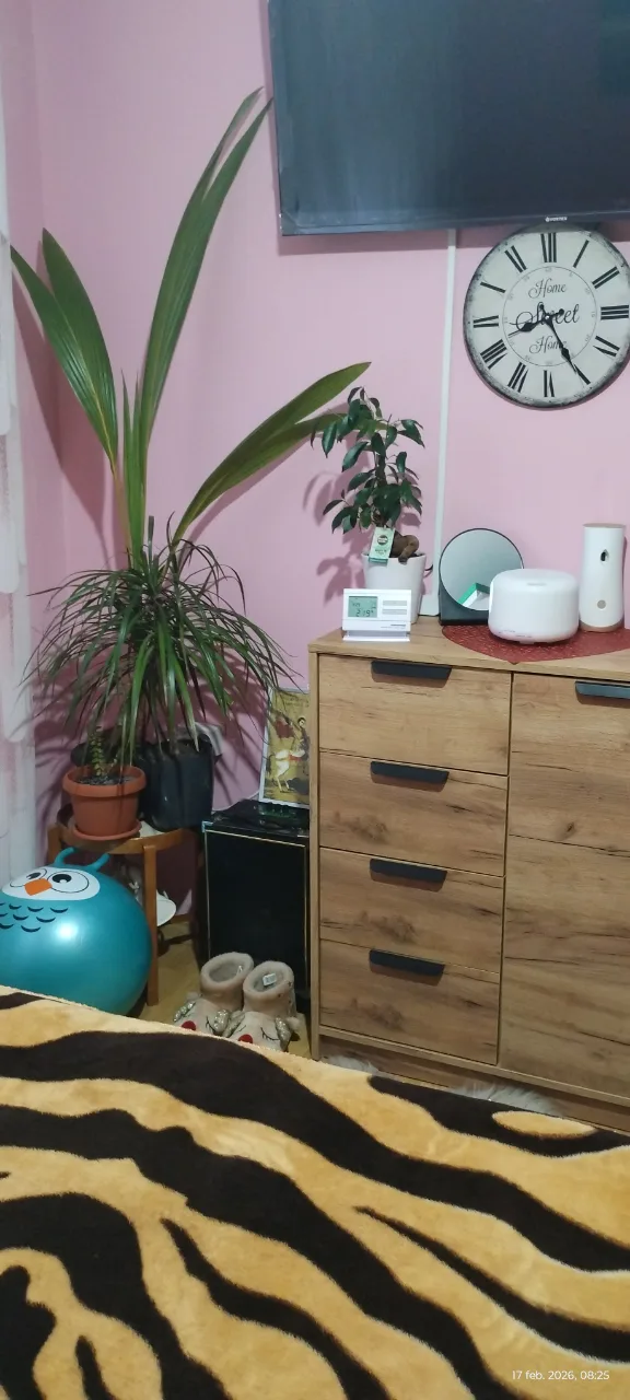 Vând apartament cu 2 camere semidecomandat in Brăila – fotografia 8 din 8