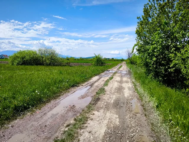 Oportunitate de Investiție. Teren 5.000 mp în Podul Oltului. – fotografia 4 din 4