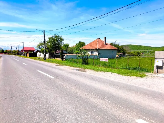 Oportunitate de Investiție. Teren 5.000 mp în Podul Oltului. – fotografia 3 din 4