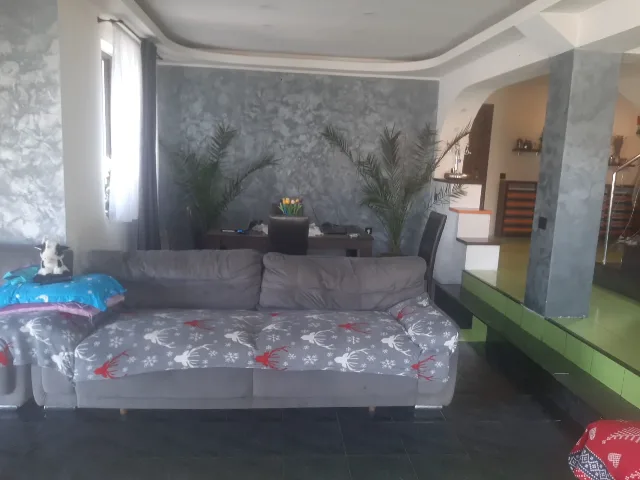 Vila p+1,Fedelesoiu, Vâlcea – fotografia 4 din 8