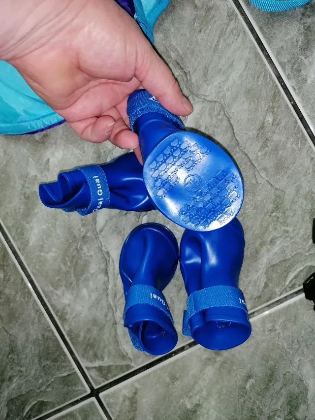 Haine pentru căței – fotografia 5 din 5