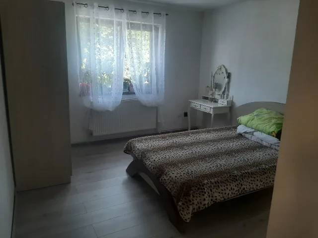 Vila p+1,Fedelesoiu, Vâlcea – fotografia 5 din 8