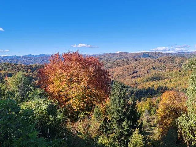 Teren de 10 000 m.p – Sector 6, București