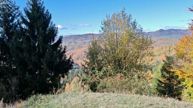 teren intravilan – Prahova, Prahova