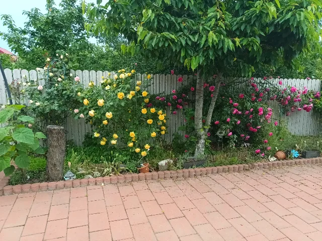 Casa de vânzare localitatea Lumina  Constanța.  116m construcție, 258m teren. Se vinde utilată,mobilată.   2dormitoare, living ,magazie,120 000 euro n – fotografia 4 din 8