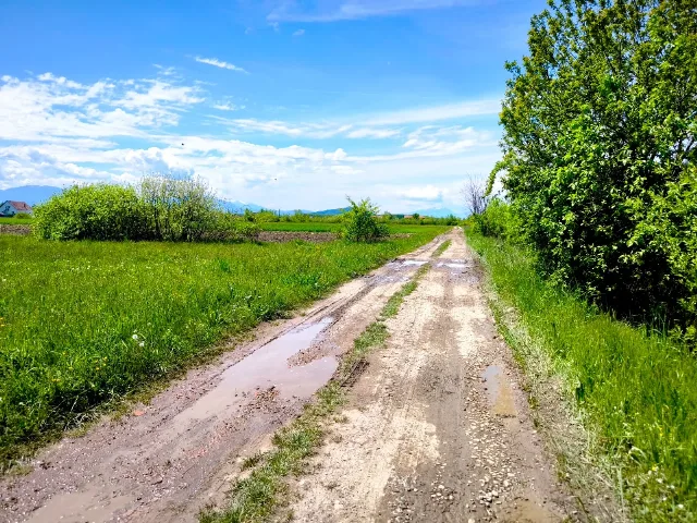 Oportunitate de Investiție. Teren 5.000 mp în Podul Oltului. – fotografia 4 din 4