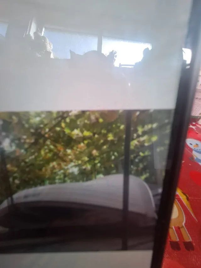 barca laguna fibra cu oglinda pupa – fotografia 2 din 8