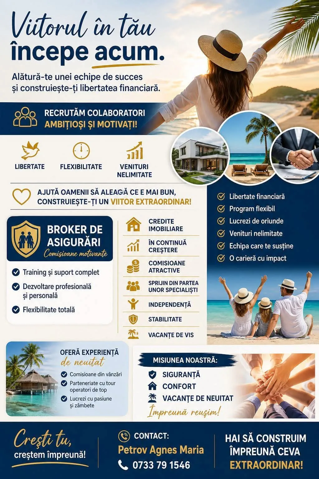 Angajare tip colaborare – Timisoara, Timiș