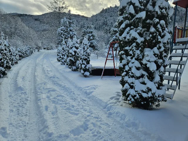 Inchiriez cabana la poalele muntilor fagaras sanbata de sus – fotografia 7 din 8