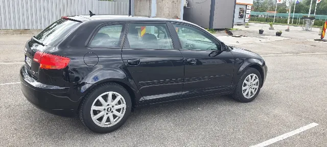 Audi A3 8P 1.9 TDI – fotografia 3 din 8