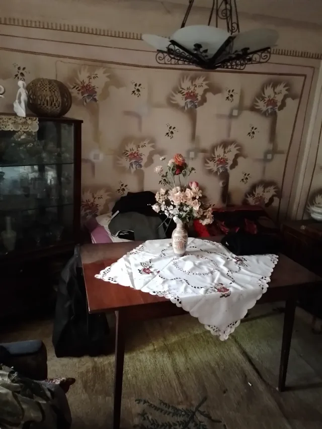 Vand teren cu casa batraneasca Berevoesti Arges – fotografia 5 din 8